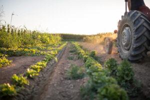 Aplicaciones en campo