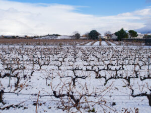 Cómo crear un estrés por granizo/viento o daños mecánicos