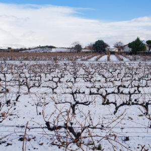 Cómo crear un estrés por granizo/viento o daños mecánicos