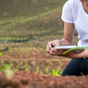 Medición de parámetros de interés agronómico en todo tipo de cultivos