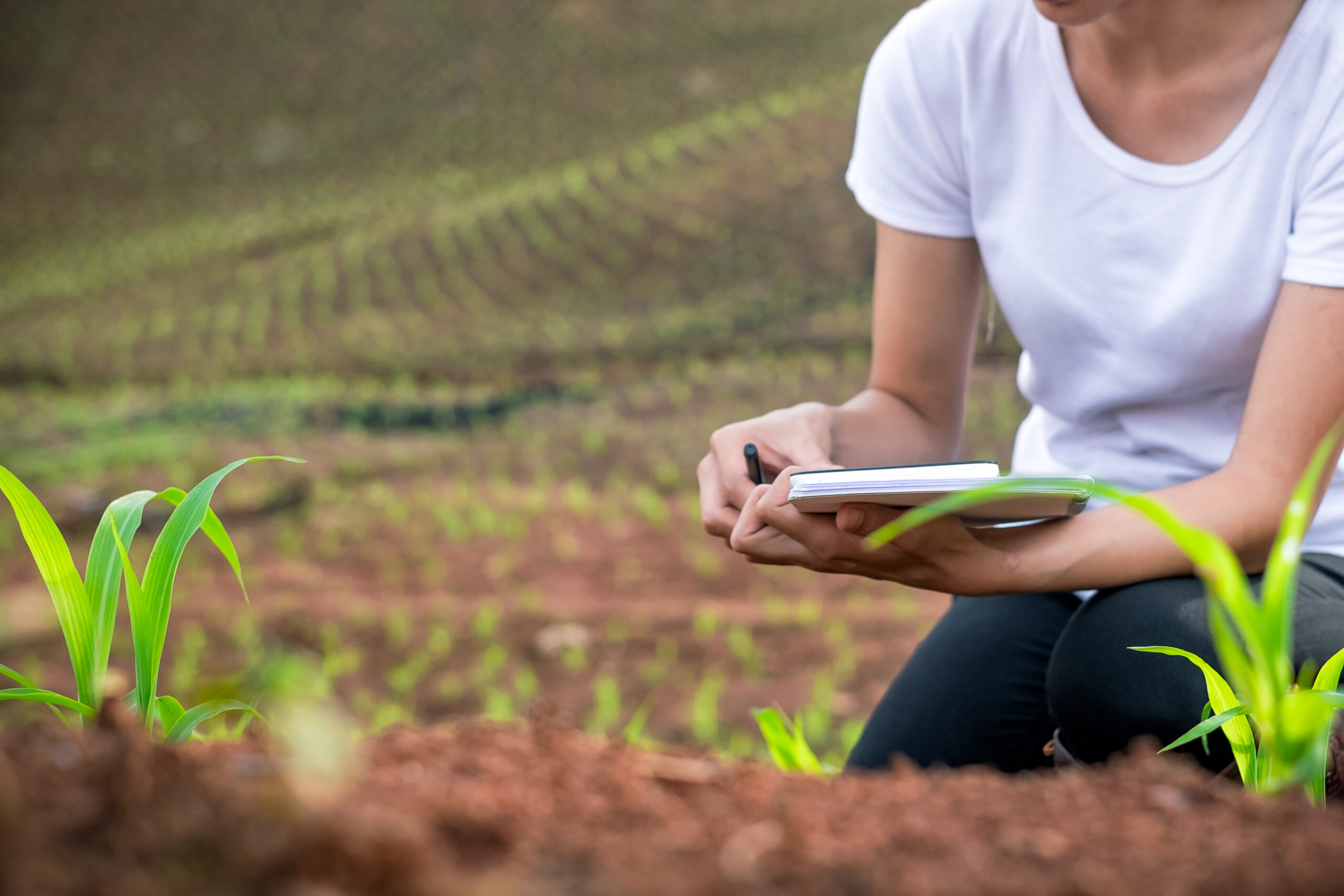 Beautiful woman plant researchers are checking and taking notes